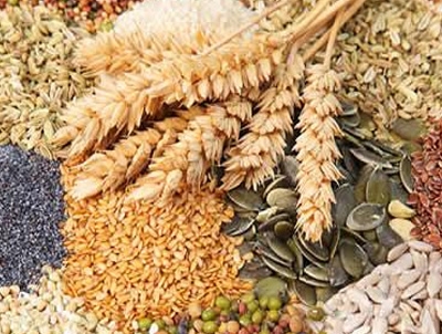 TAREKS Denetimi Hangi &Uuml;r&uuml;nleri Kapsar?